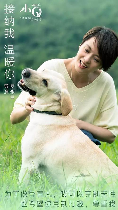 买张梅西赫斯特大学文凭毕业证